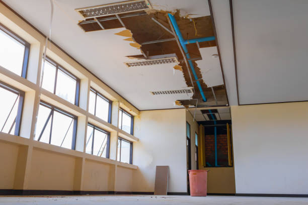 Best Water damage restoration cost  in Lahaina, HI
