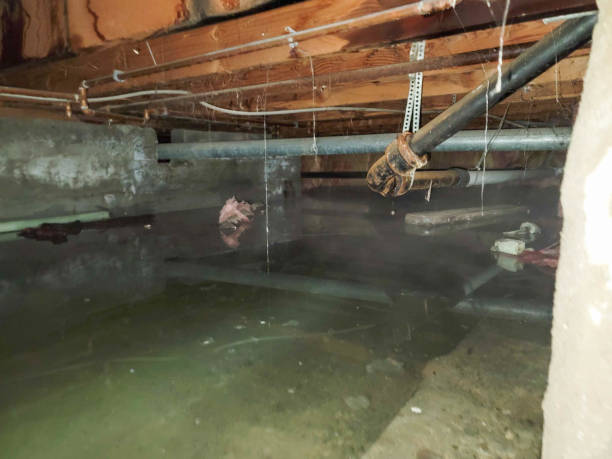 Water damage restoration experts in Lahaina, HI