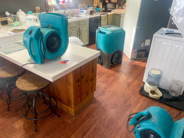 Best Flood restoration services  in Lahaina, HI