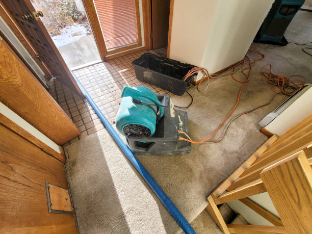 Best Emergency water damage restoration  in Lahaina, HI