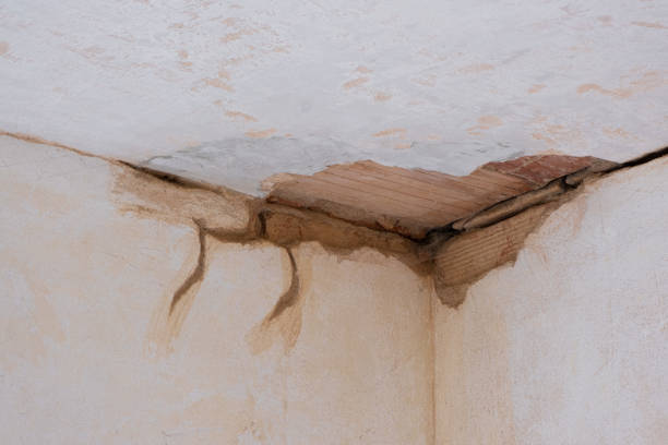 Best Water damage restoration experts  in Lahaina, HI
