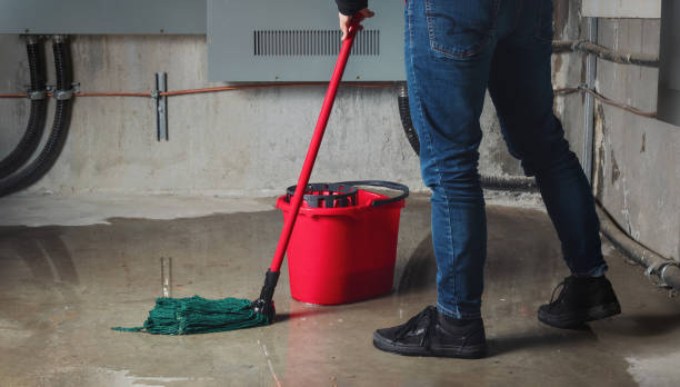 Sewage cleanup and water damage restoration in Lahaina, HI