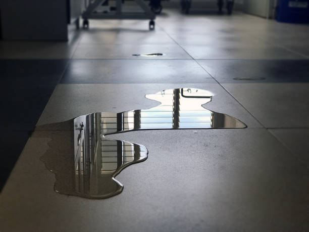 Best 24-hour water damage restoration  in Lahaina, HI