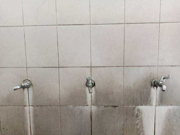 Best Professional water damage repair  in Lahaina, HI
