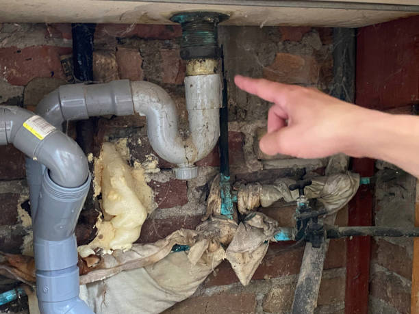 Best Water damage restoration process  in Lahaina, HI
