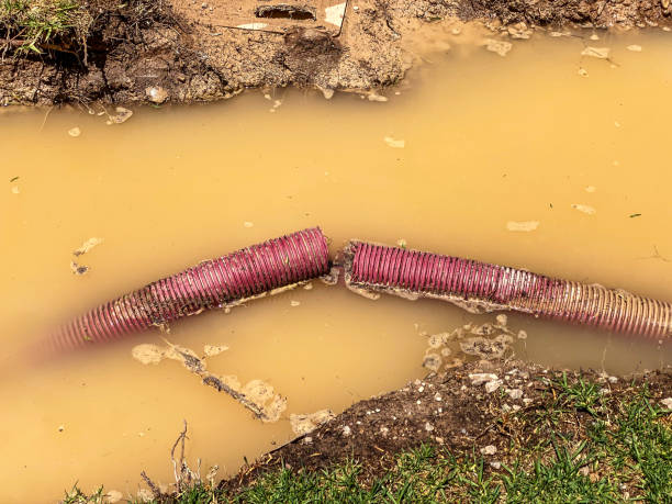 Best Flood damage cleanup  in Lahaina, HI