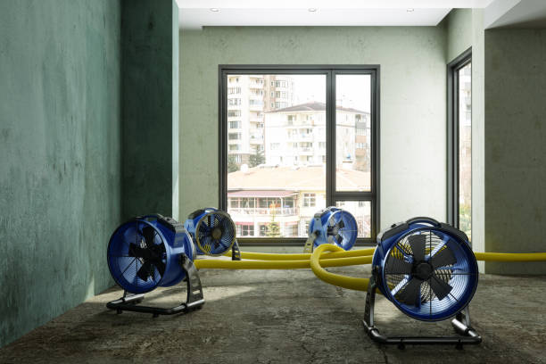 Best Ceiling water damage repair  in Lahaina, HI