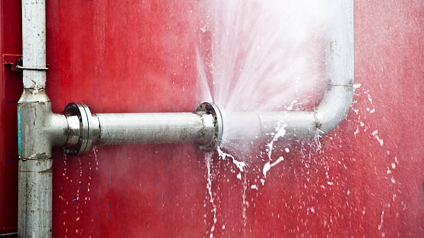 Best Carpet water damage restoration  in Lahaina, HI